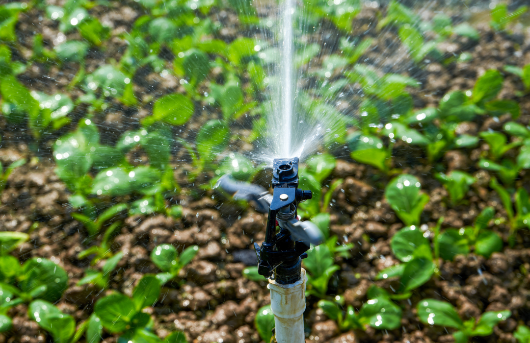 What are some sustainable ways to water a garden?