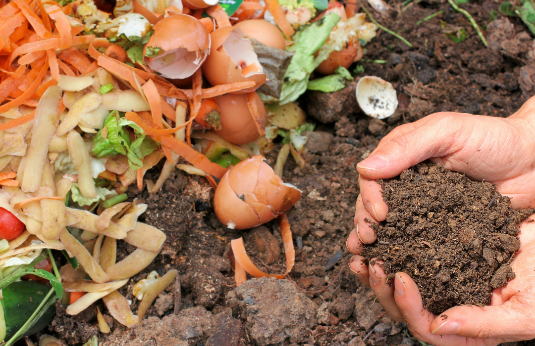 How to start composting for beginners?