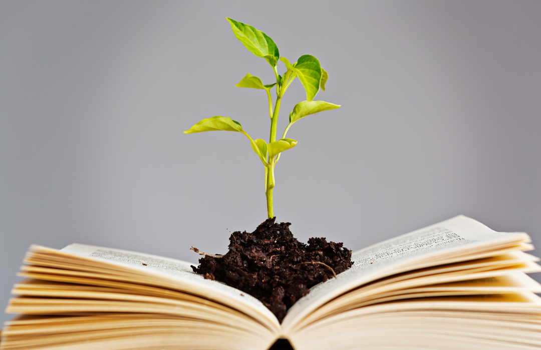 What are some great gardening books for holiday gifts?