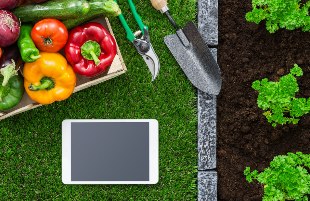 Do gardening calendar apps help?