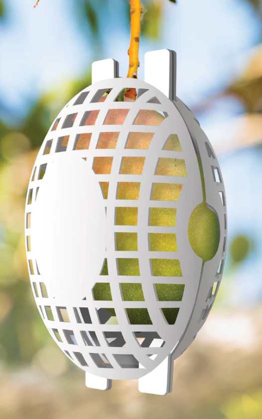 What are the best ways to protect fruit trees from pesky critters?