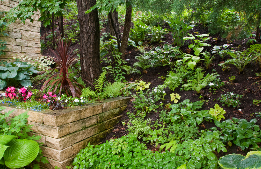 Beautifying Shady Spots in Your Garden