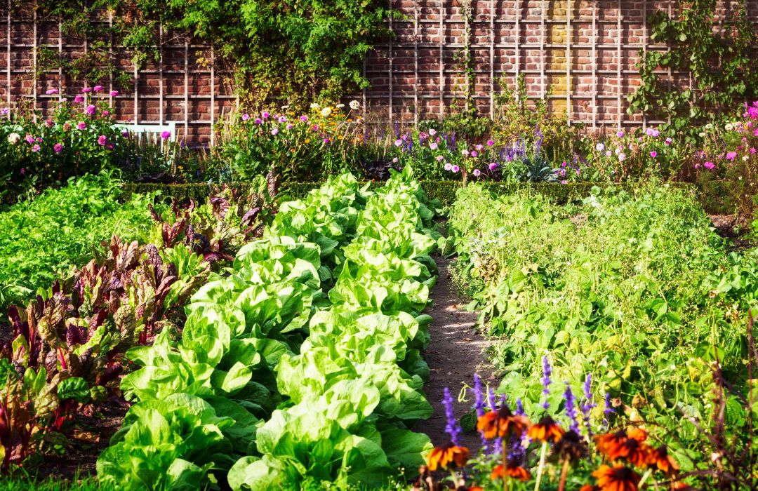 Beginner’s Guide to Easy Vegetable Gardening.