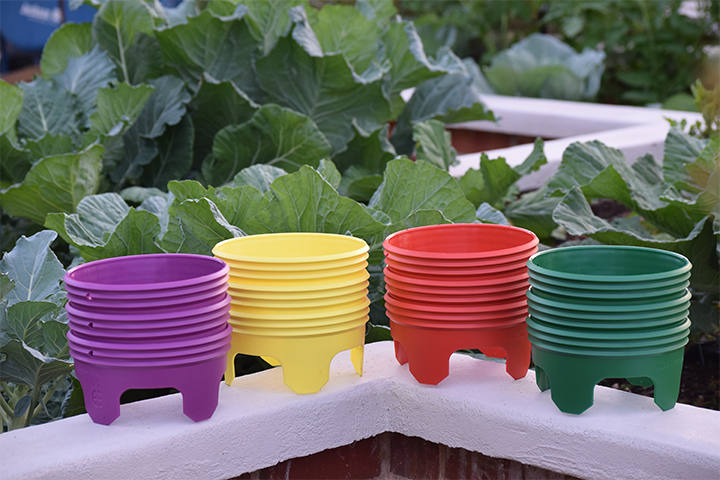 plastic planting rings Grow Rings, 7 inches, Multicolor