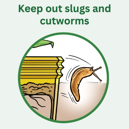 Grow Rings, 7 inches, Yellow - 6 Pack