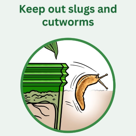 Germination Kit - 4 Pack - Green