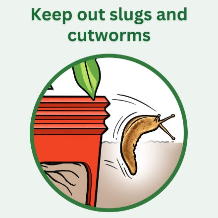 Germination Kit - 4 Pack - Red