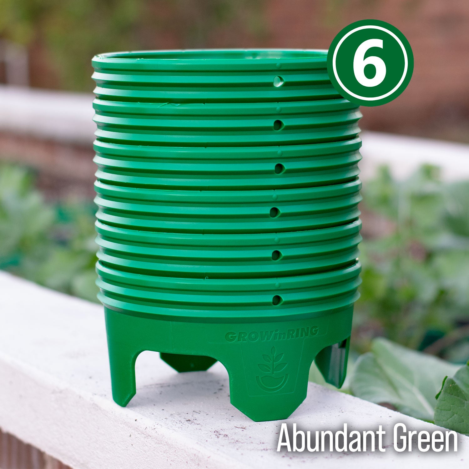 Grow Rings, 7 inches, Green - 6 Pack