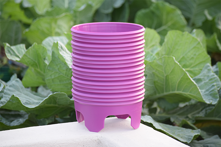 plastic rings for plants Grow Rings, 7 inches, Purple