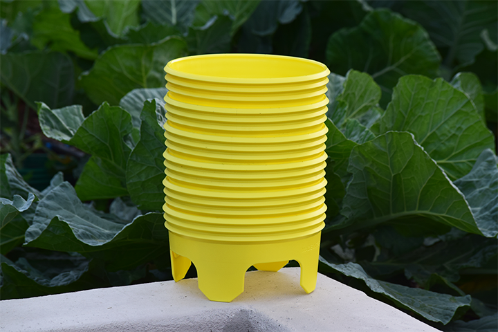 plastic planting rings Grow Rings, 7 inches, Yellow