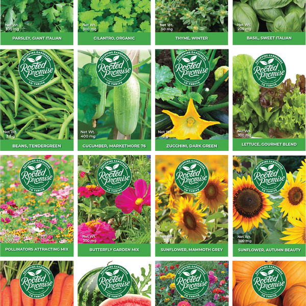Seed Bundle, All Seeds, 16 Packs – Rooted Promise
