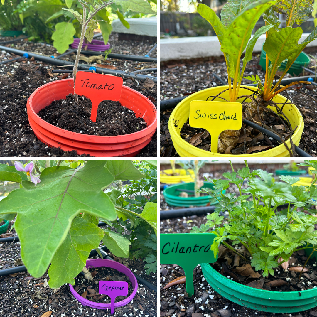 Plant Markers, 100 count