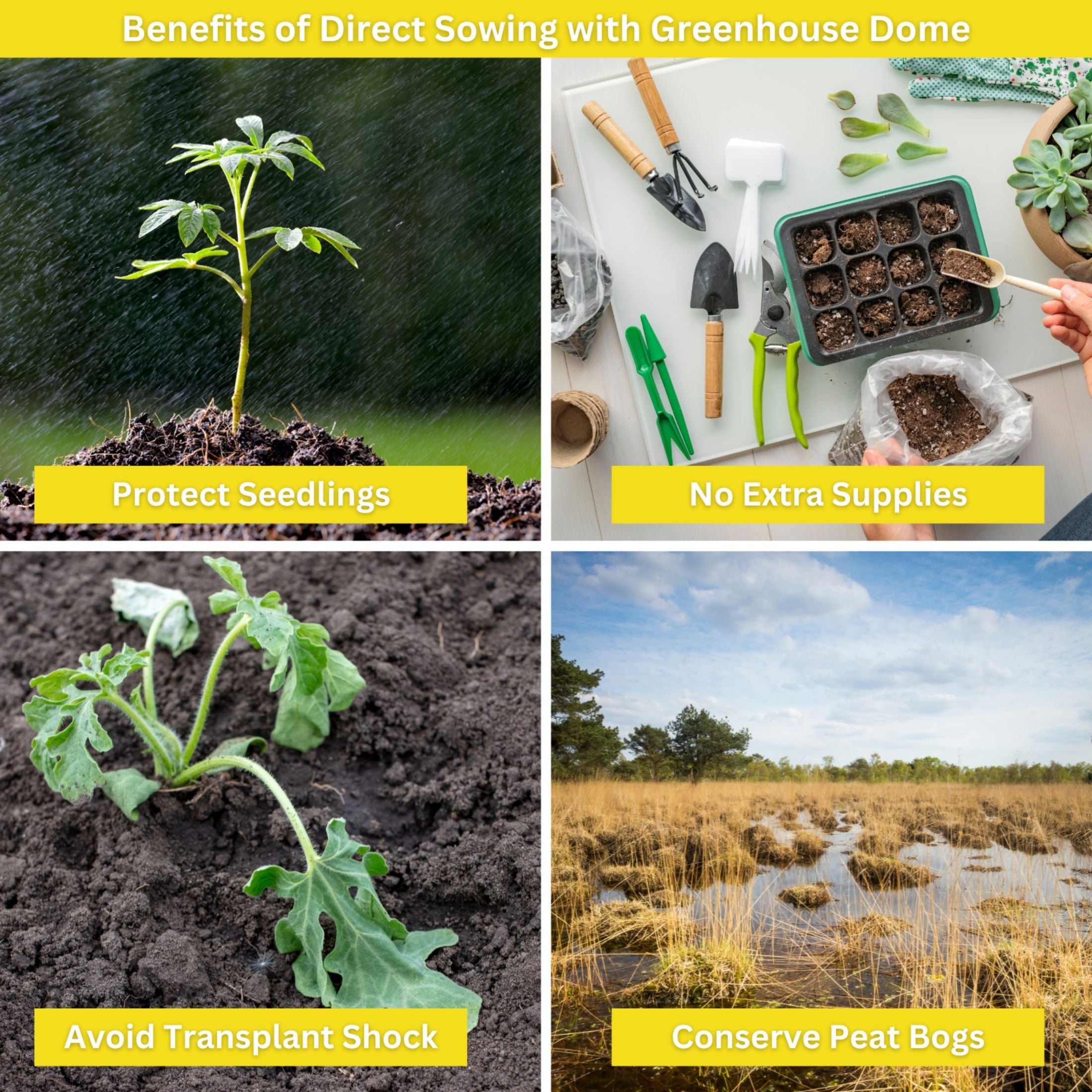 Kids Outdoor Sunflower Garden Kit