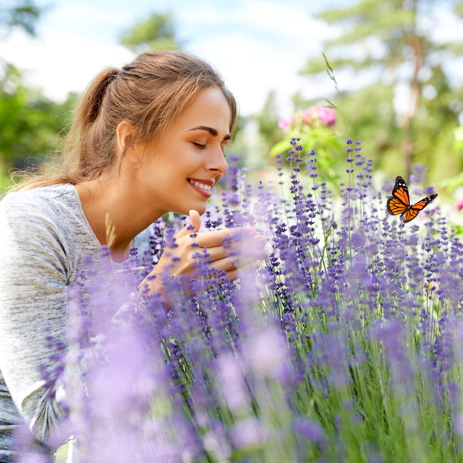 Outdoor Butterfly Garden Kit