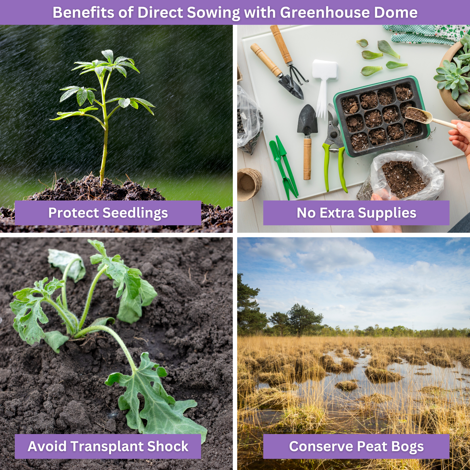 Pollinators Garden Kit