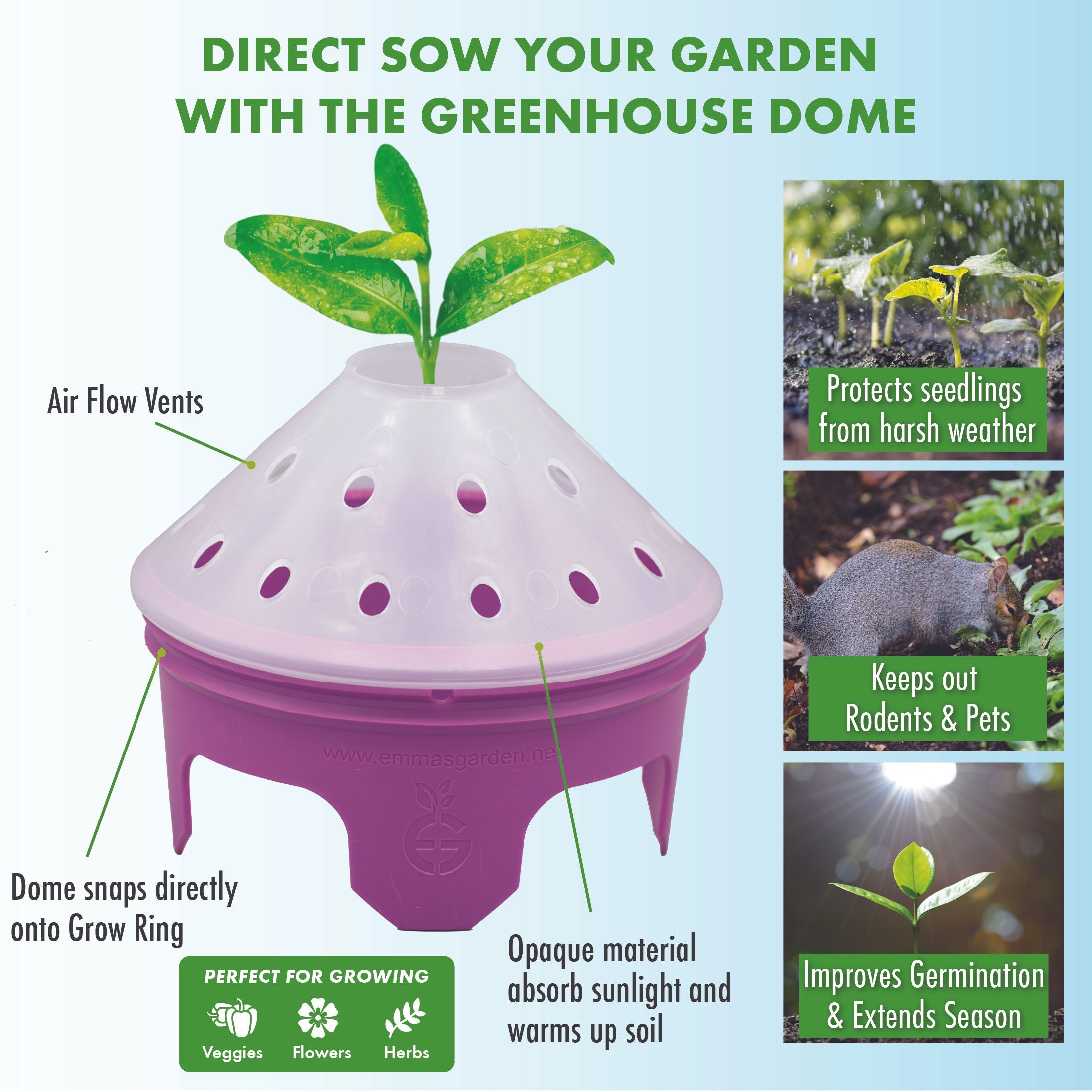 Pollinators Garden Kit