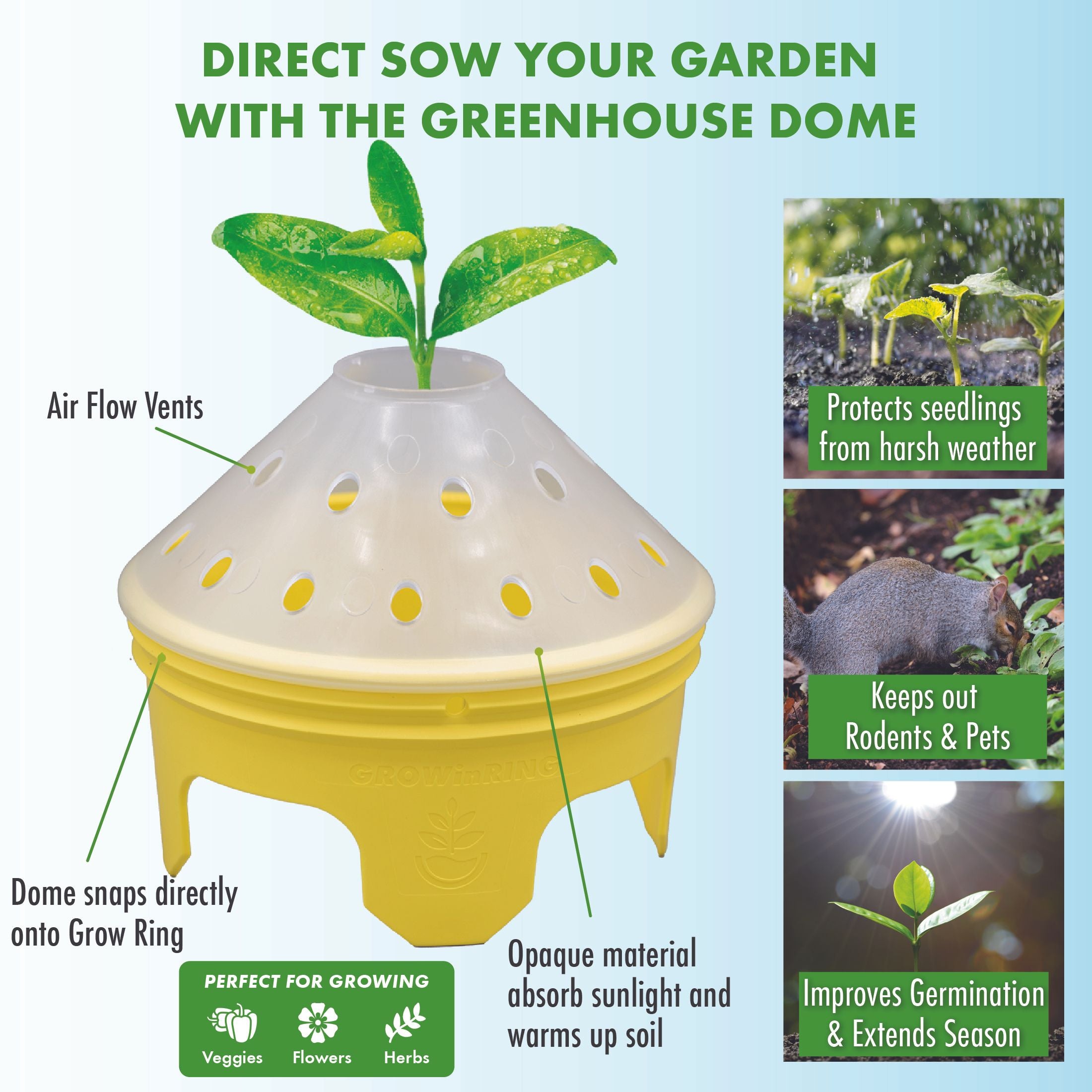 Outdoor Butterfly Garden Kit