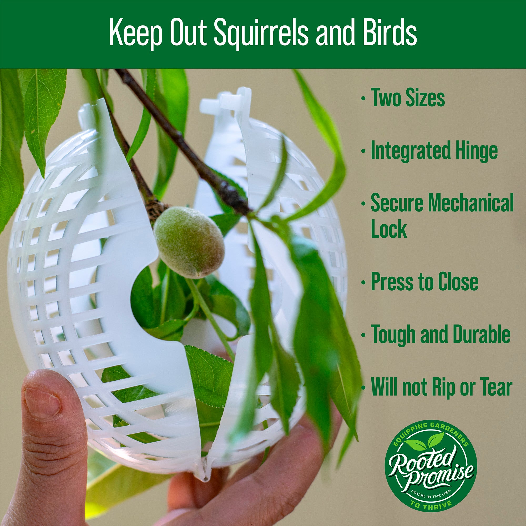 Fruit Cage, Small, 4x5, Made in USA