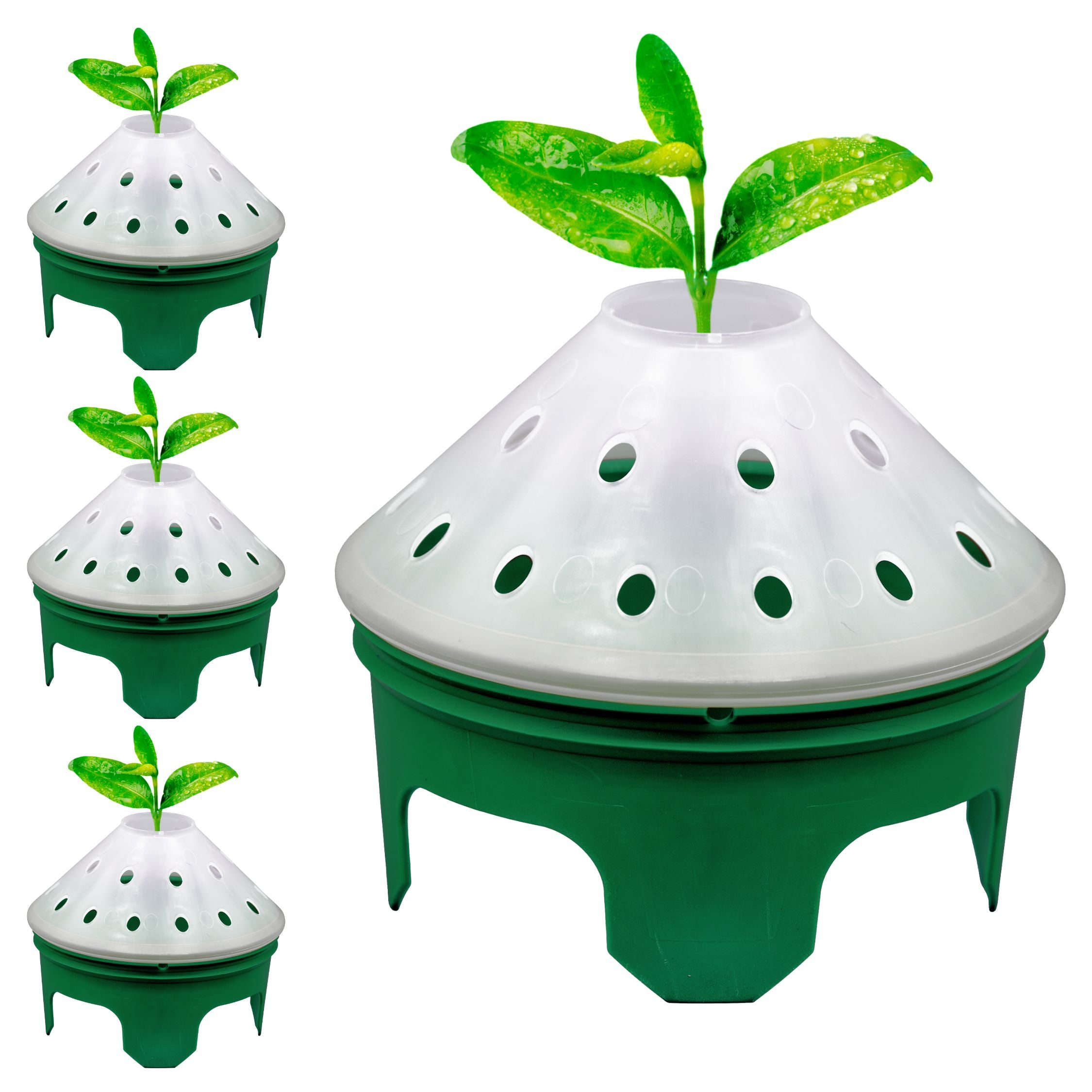 Germination Kit - 4 Pack - Green