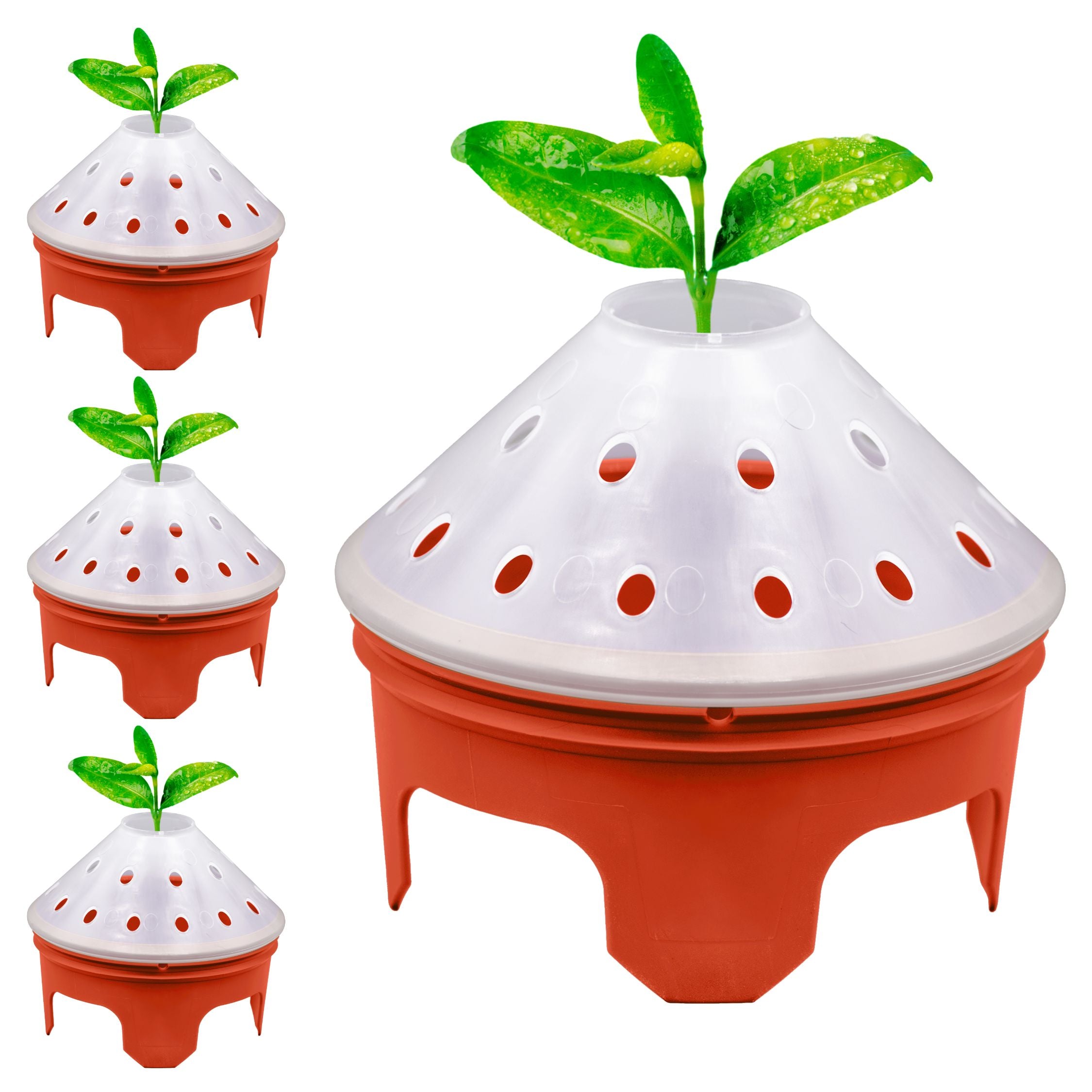 Germination Kit - 4 Pack - Red