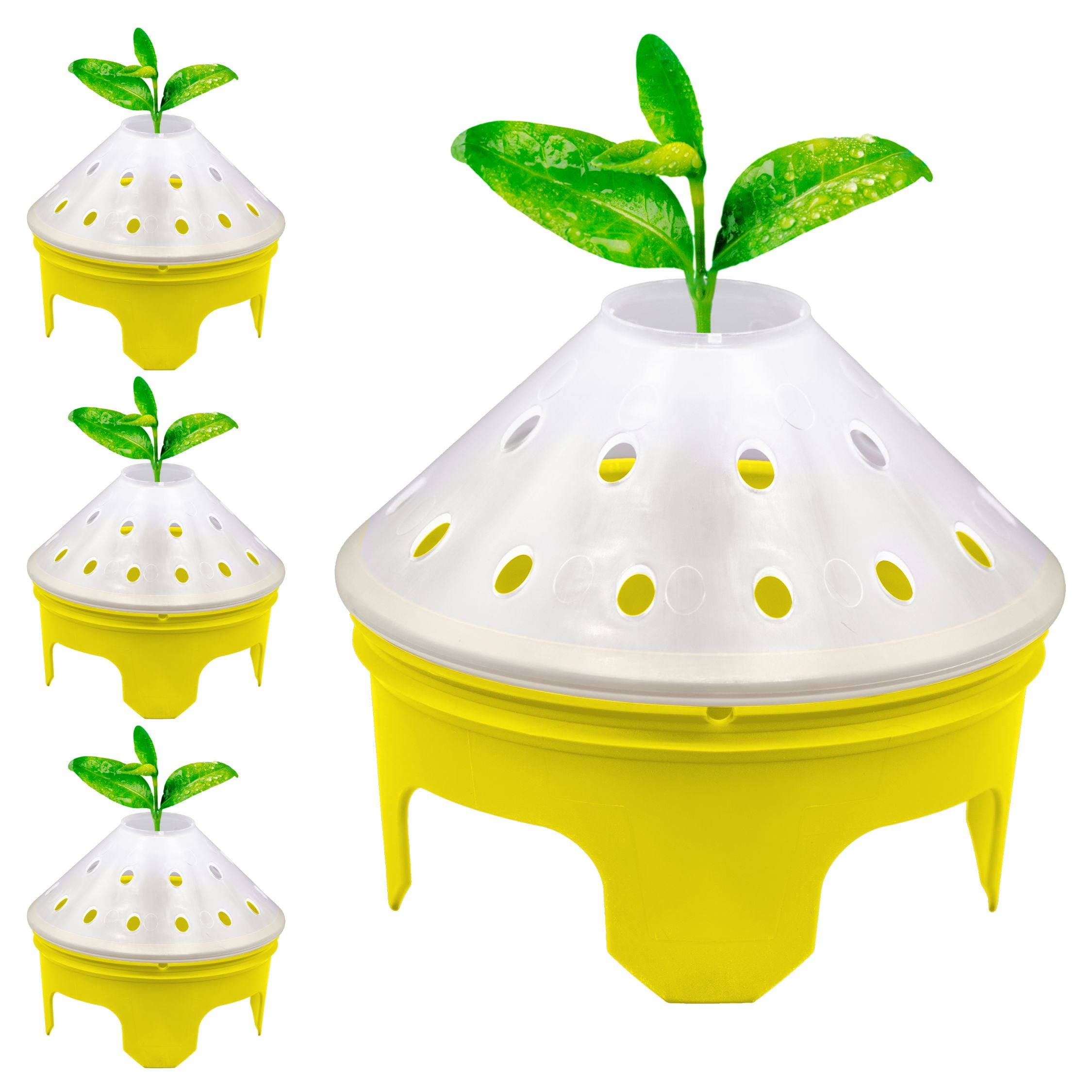 Germination Kit - 4 Pack - Yellow