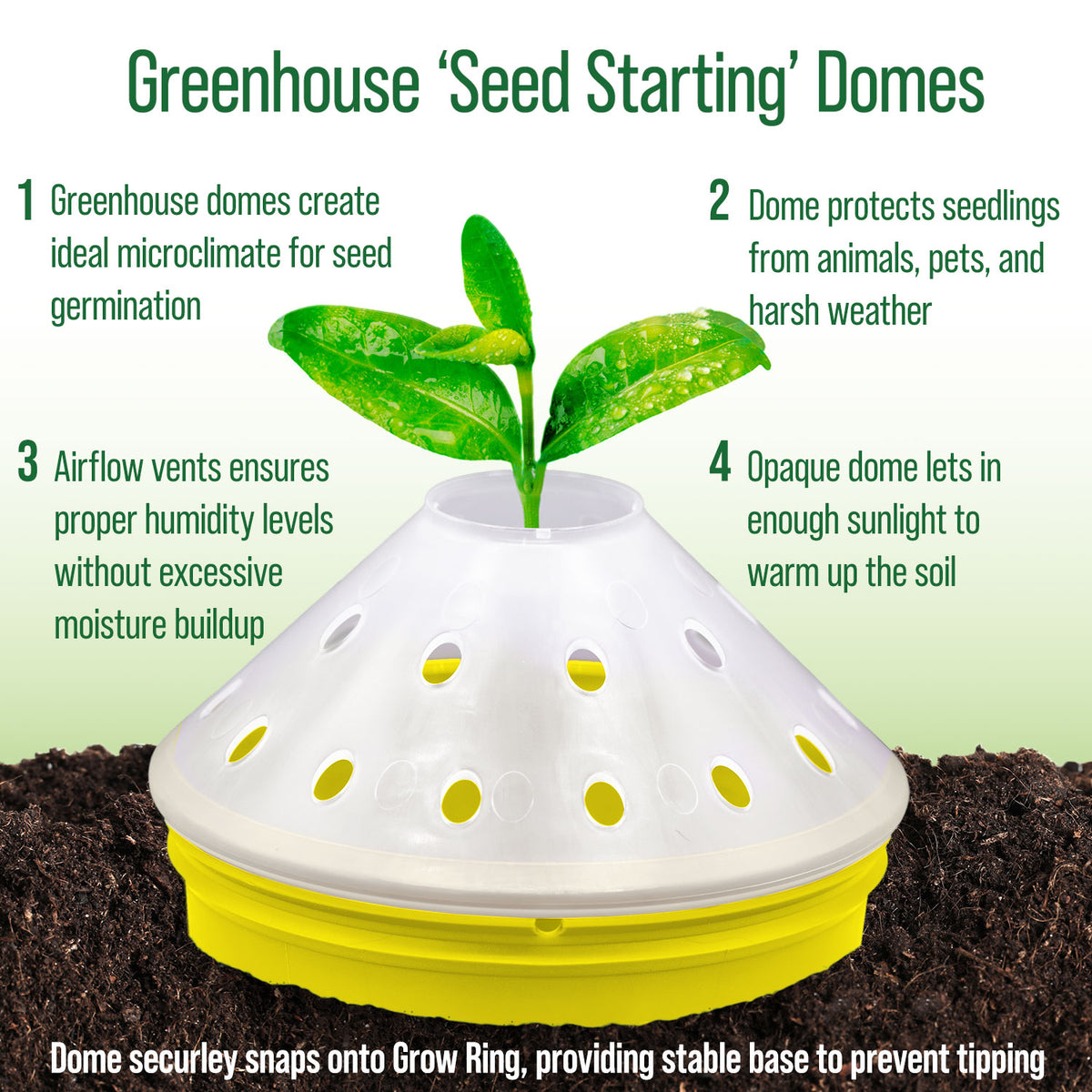 Sunflower Garden Kit – Rooted Promise