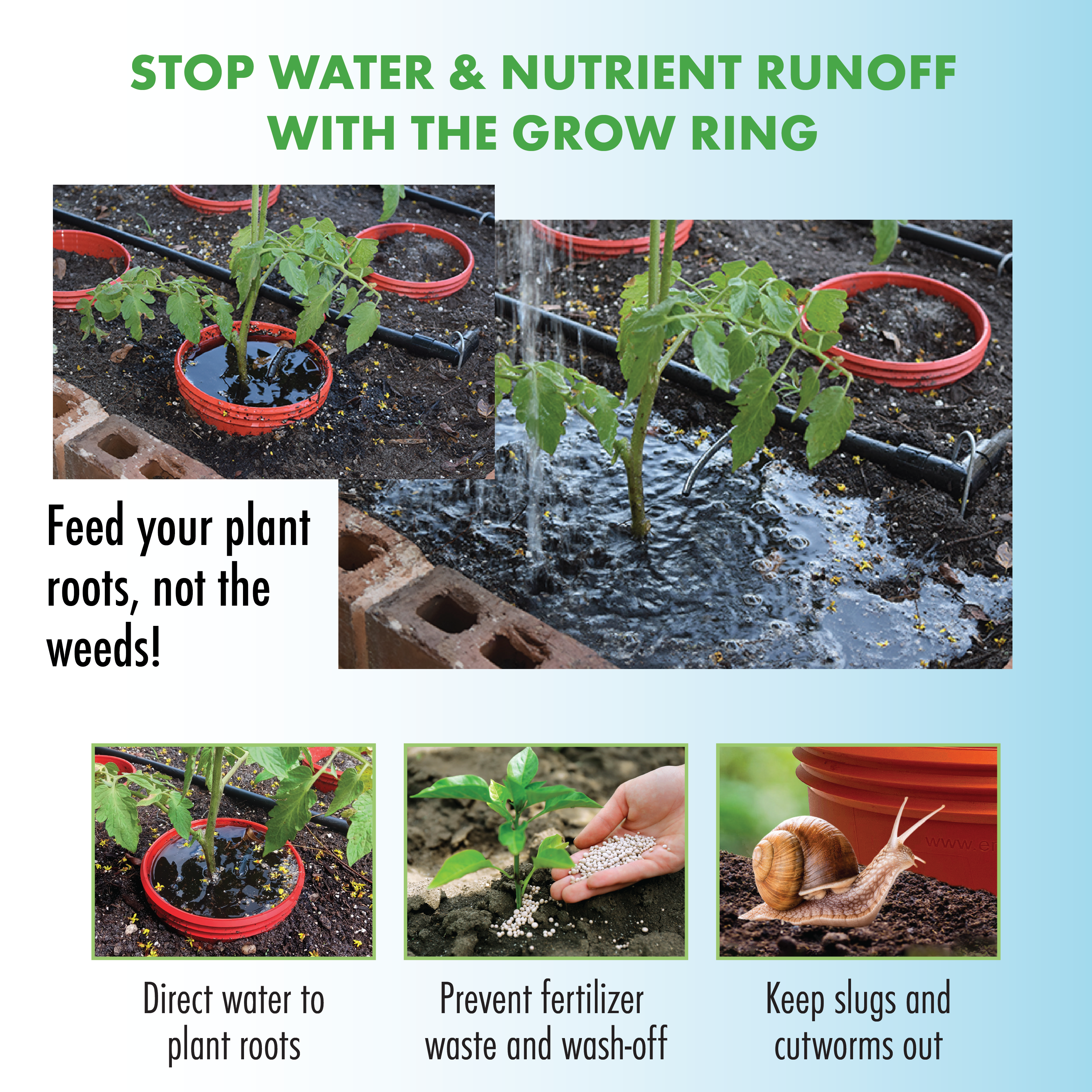 Kids Outdoor Zinnia Garden Kit