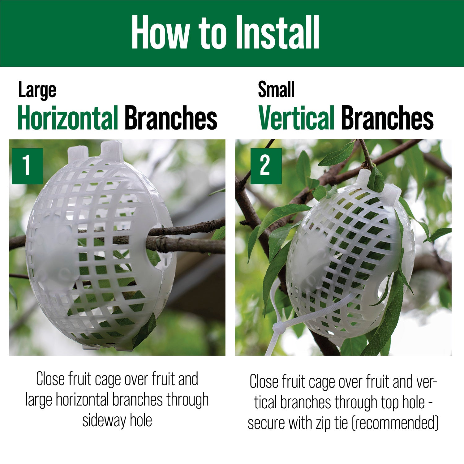 Fruit Cage, Small, 4x5, Made in USA