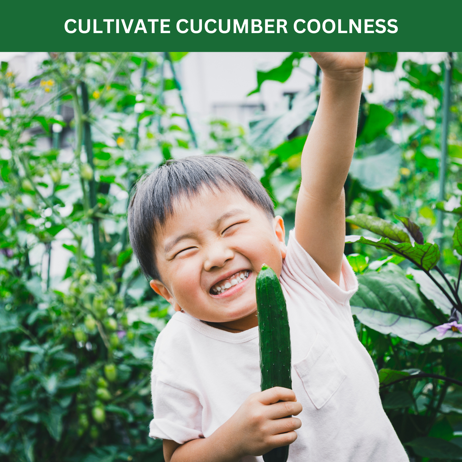 Kids Outdoor Cucumber Garden Kit