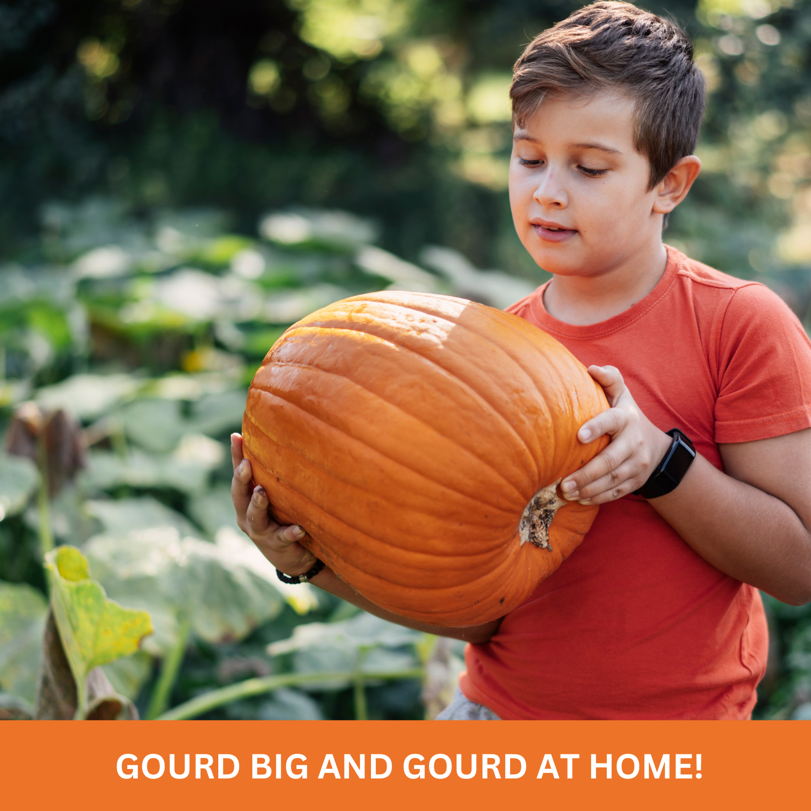 Kids Outdoor Pumpkin Garden Kit