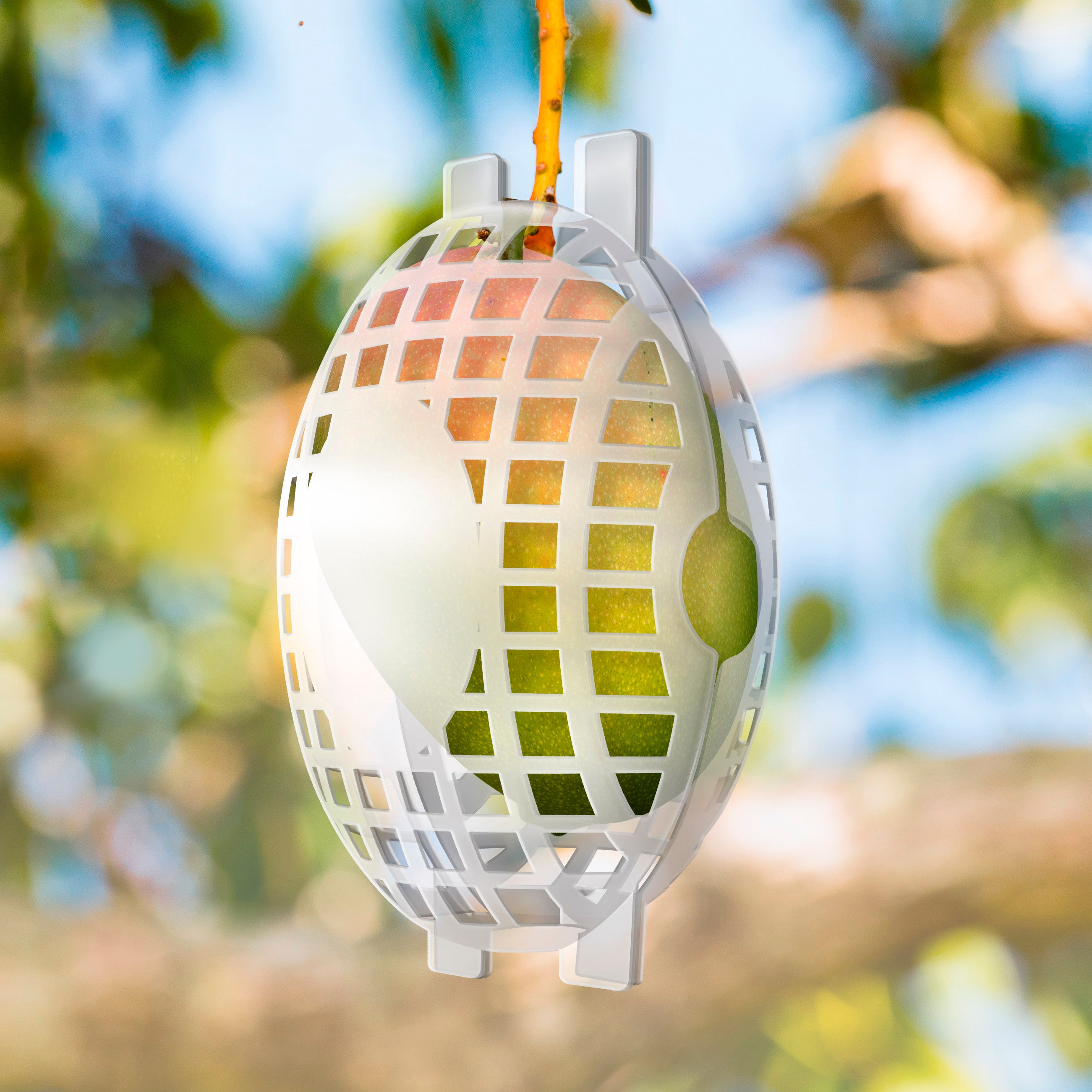 Fruit Cage, Large, 5x8, Made in USA