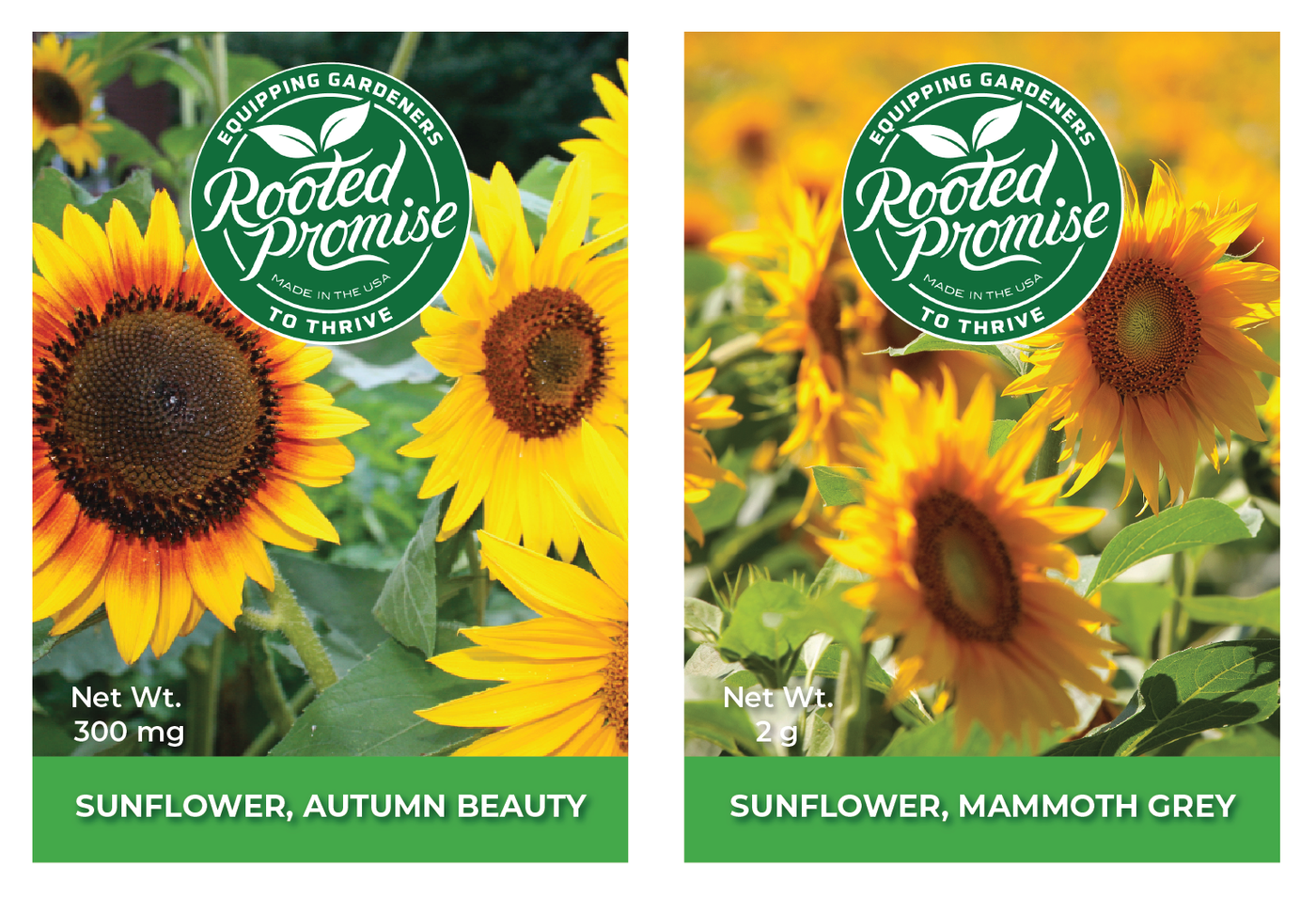 roundup ready sunflower seeds for planting Seed Bundle, 2 Pack, Sunflower – Rooted Promise