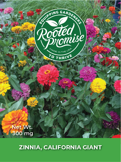Kids Outdoor Zinnia Garden Kit