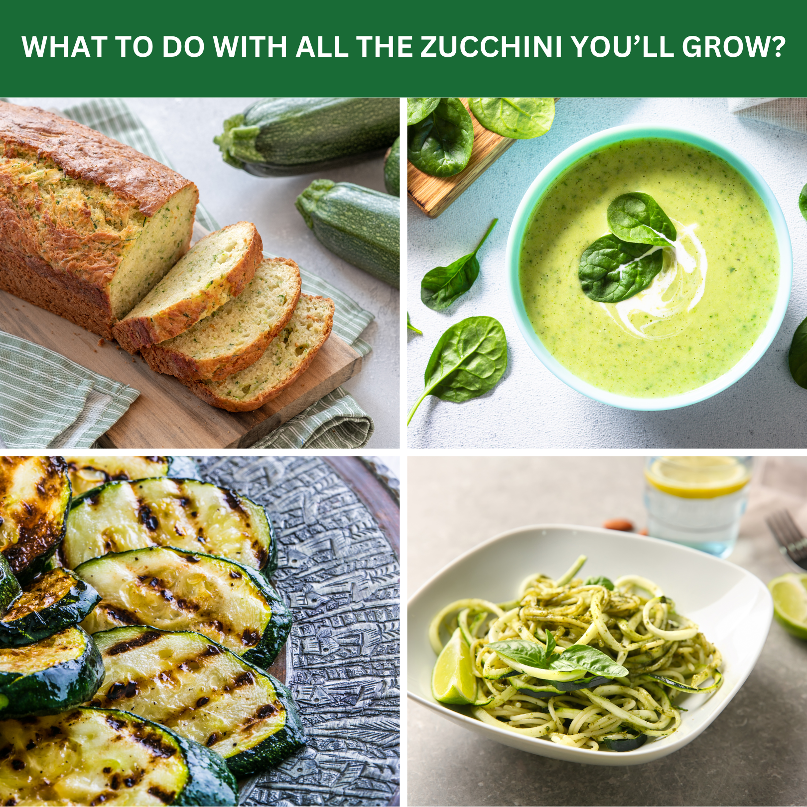 Zucchini Garden Kit