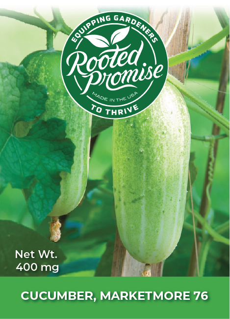 Kids Outdoor Cucumber Garden Kit