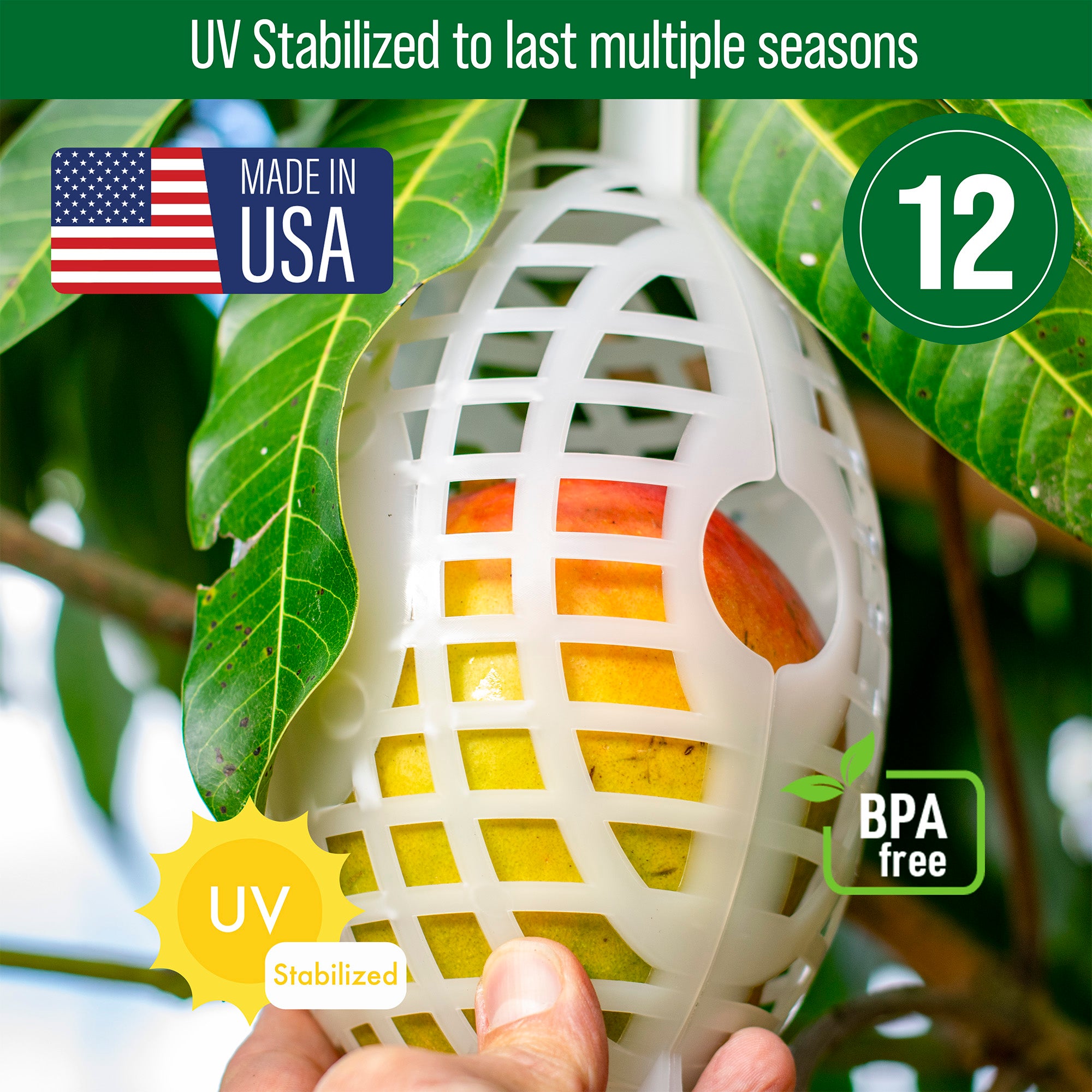 Fruit Cage, Large, 5x8, Made in USA