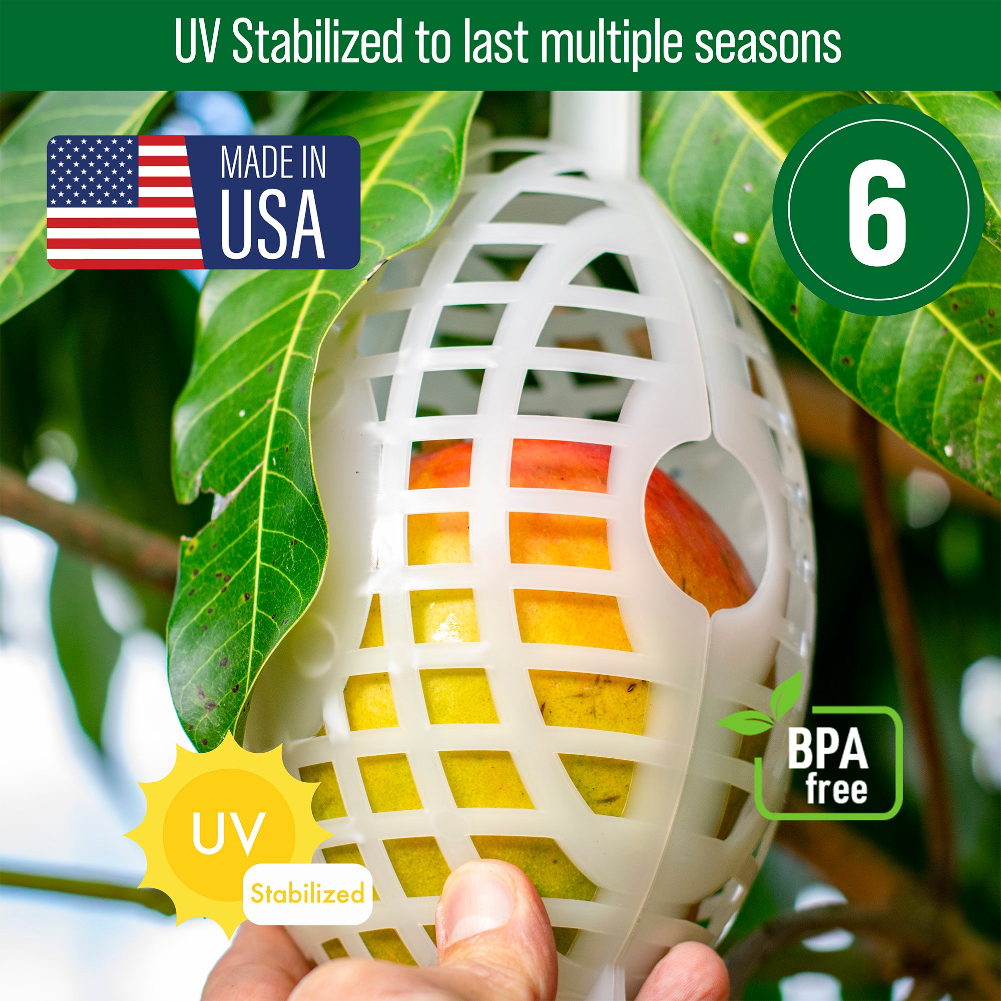 Fruit Cage, Large, 5x8, Made in USA