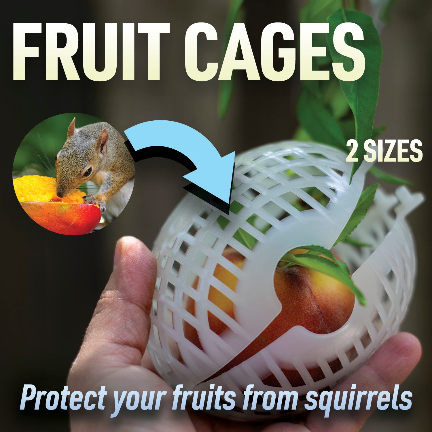Fruit Cage, Small, 4x5, Made in USA