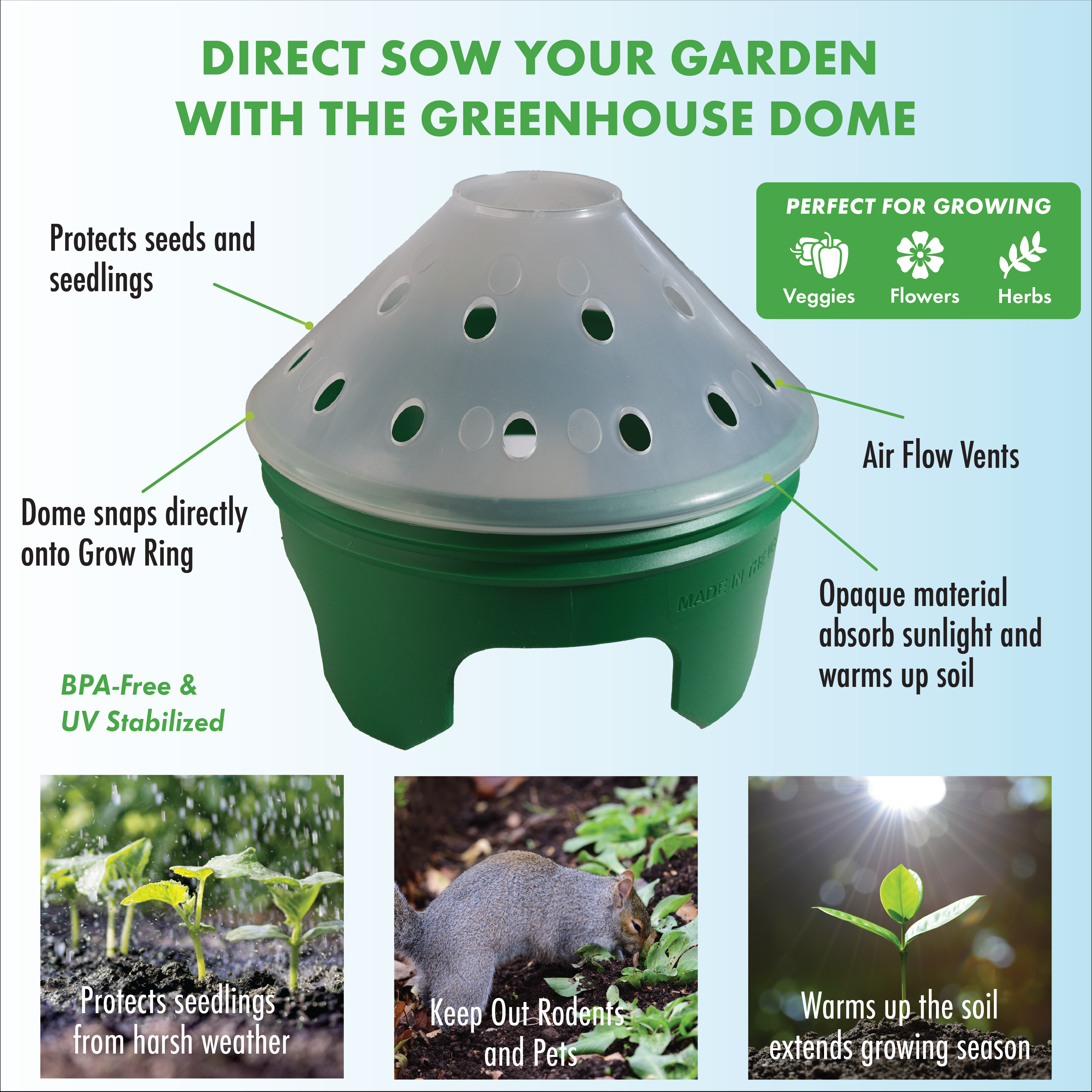 Gourmet Salad Garden Kit