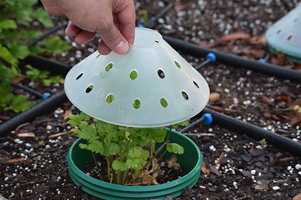 Greenhouse Domes, 7 inches - 12 pack