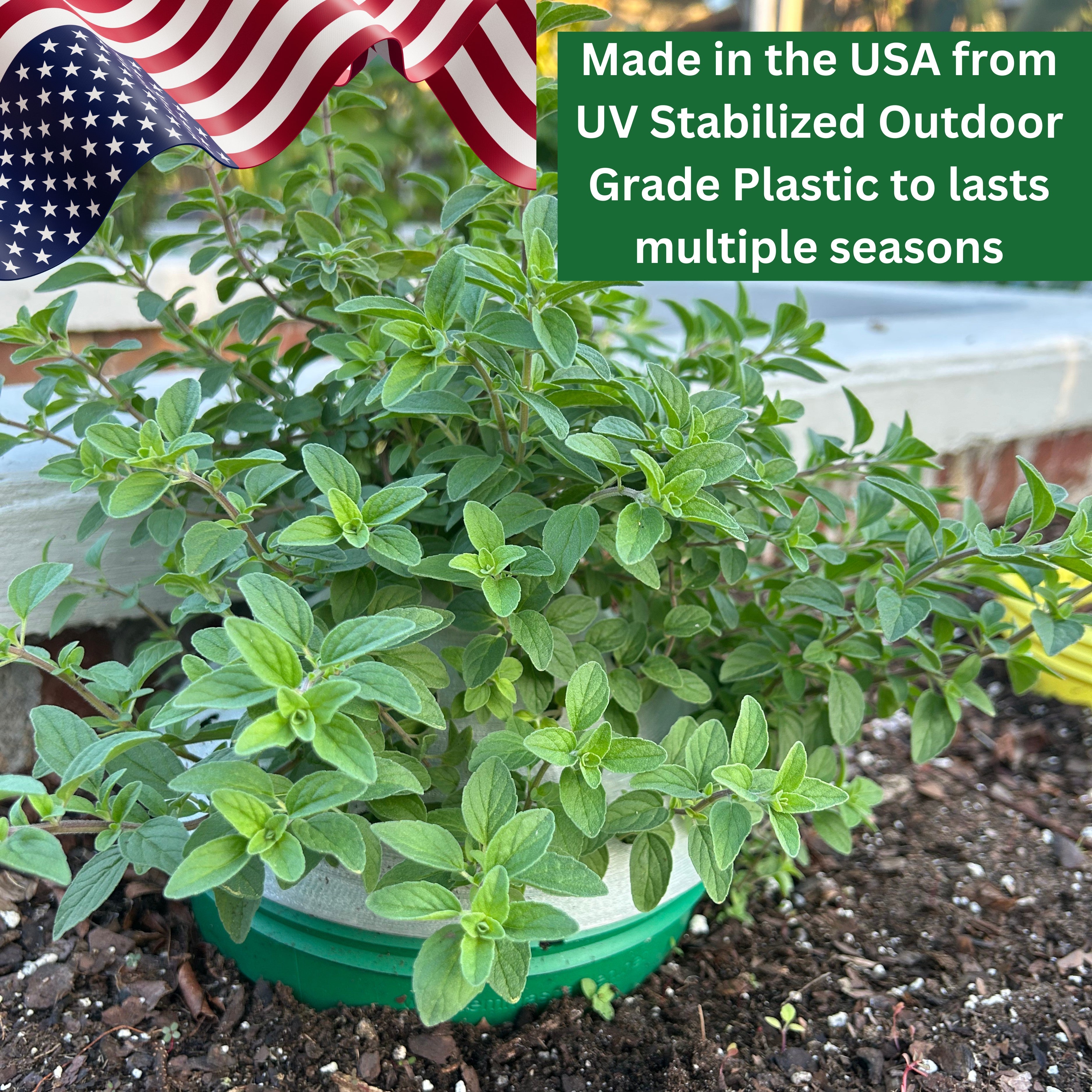 Germination Kit - 4 Pack - Green