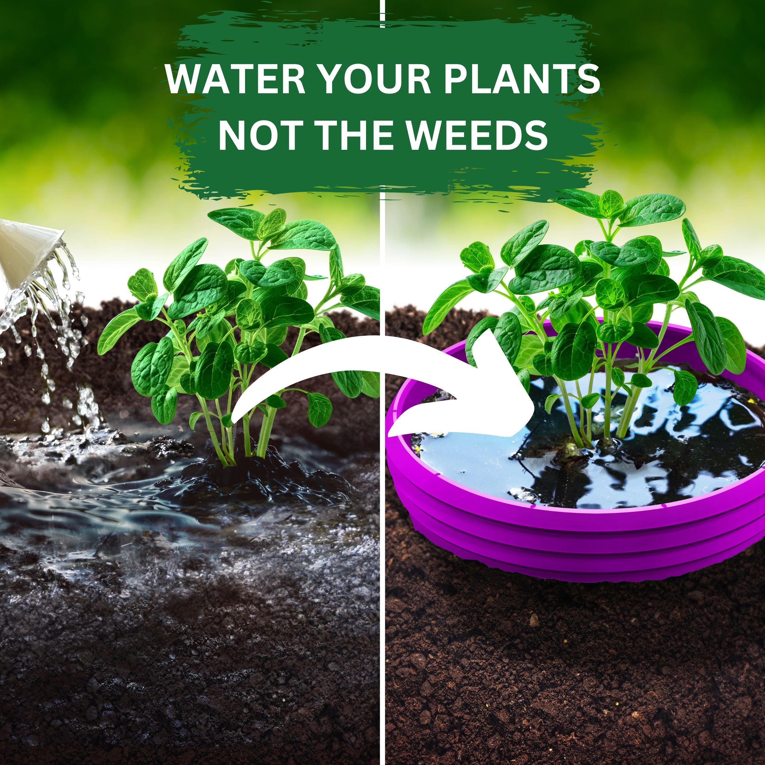 Grow Rings, 7 inches, Purple - 6 Pack