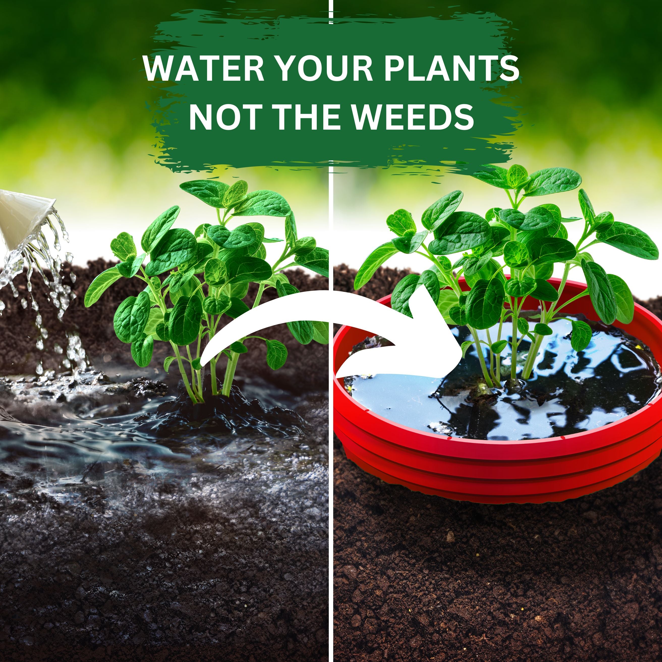 Grow Rings, 7 inches, Red - 6 Pack