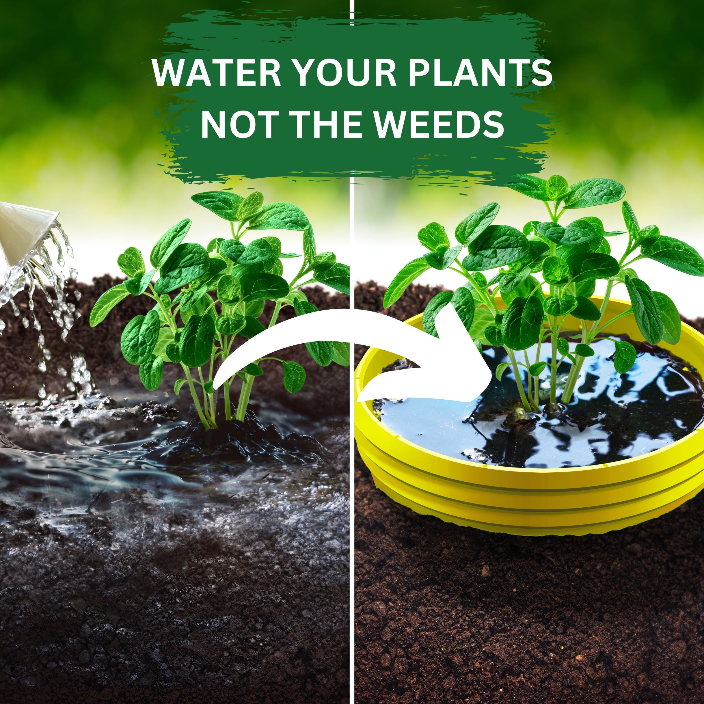 Grow Rings, 7 inches, Yellow - 6 Pack