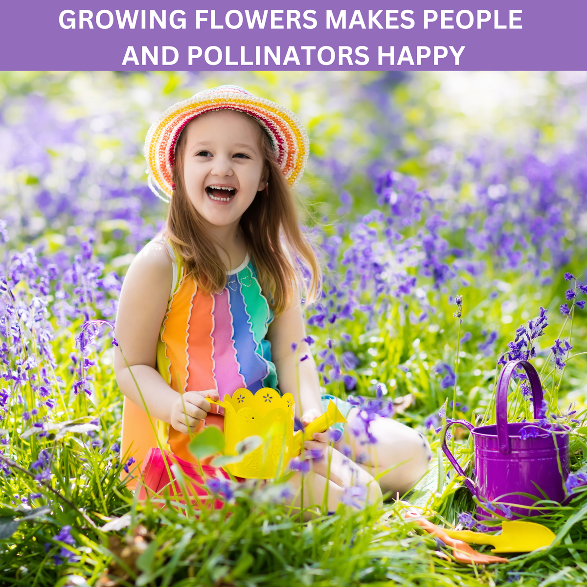 Pollnaters Pollinators Garden Kit – Rooted Promise