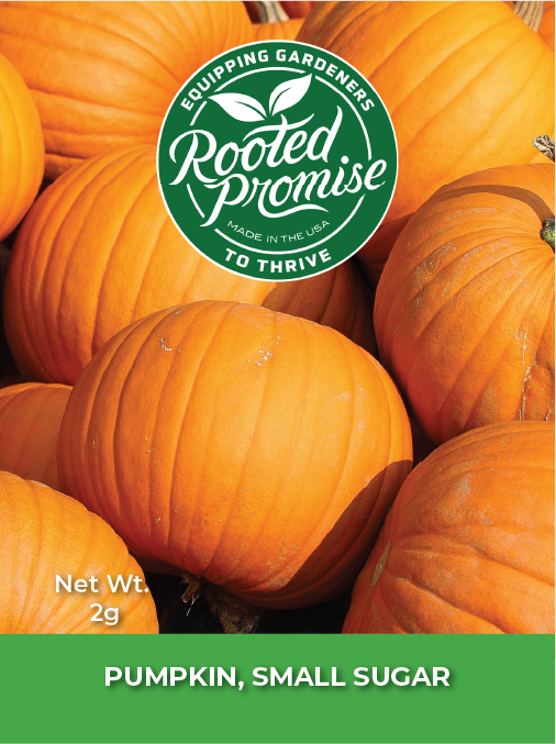 Kids Outdoor Pumpkin Garden Kit