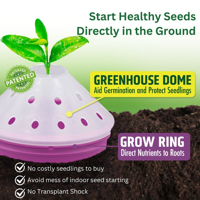 Germination Kit - 4 Pack - Purple