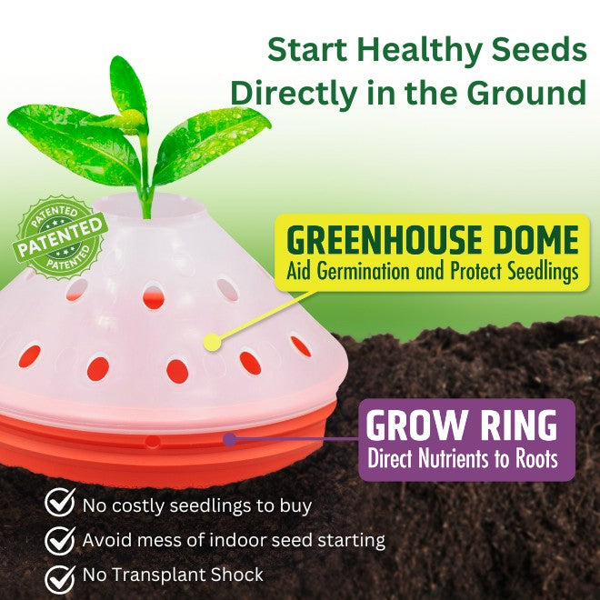 Germination Kit - 4 Pack - Red