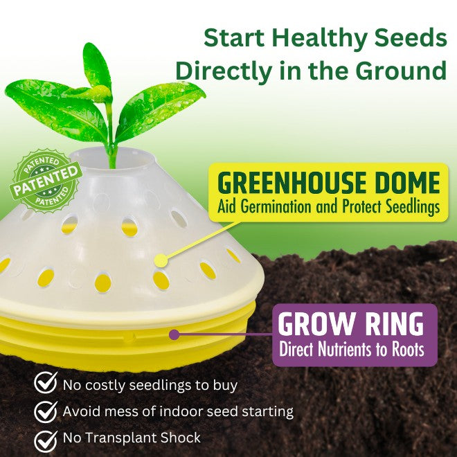 Germination Kit - 4 Pack - Yellow