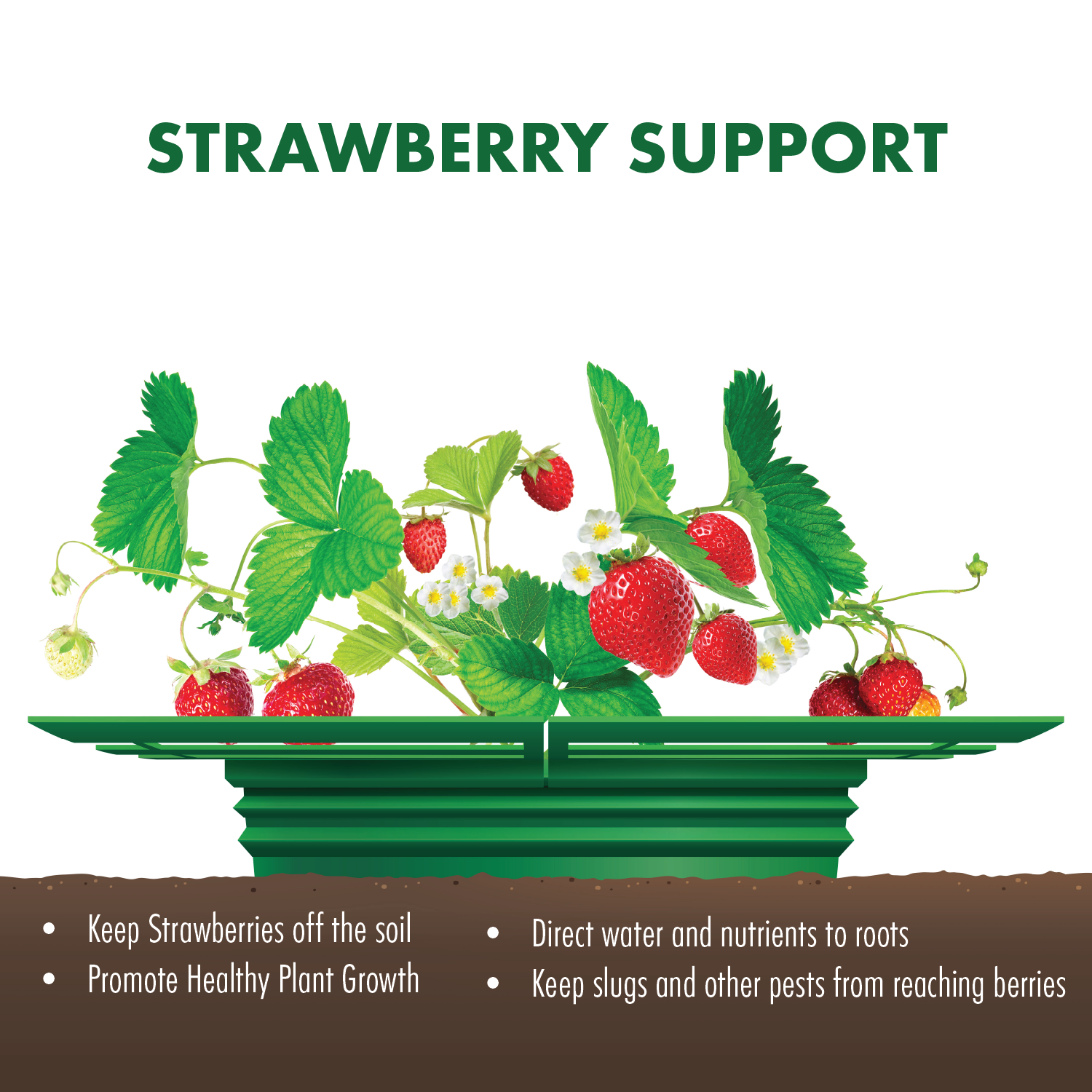 Strawberry Support Cradle, 6 Pack